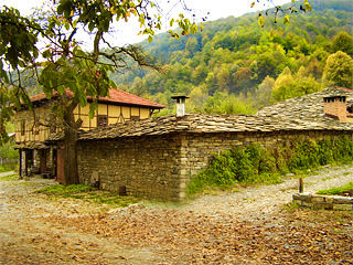 Бели Осъм